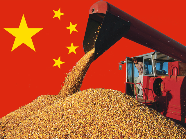 China may change its corn price policy once again, lowering it to $6.25 per bushel after the new-crop harvest wraps up. (DTN photo illustration by Nick Scalise)